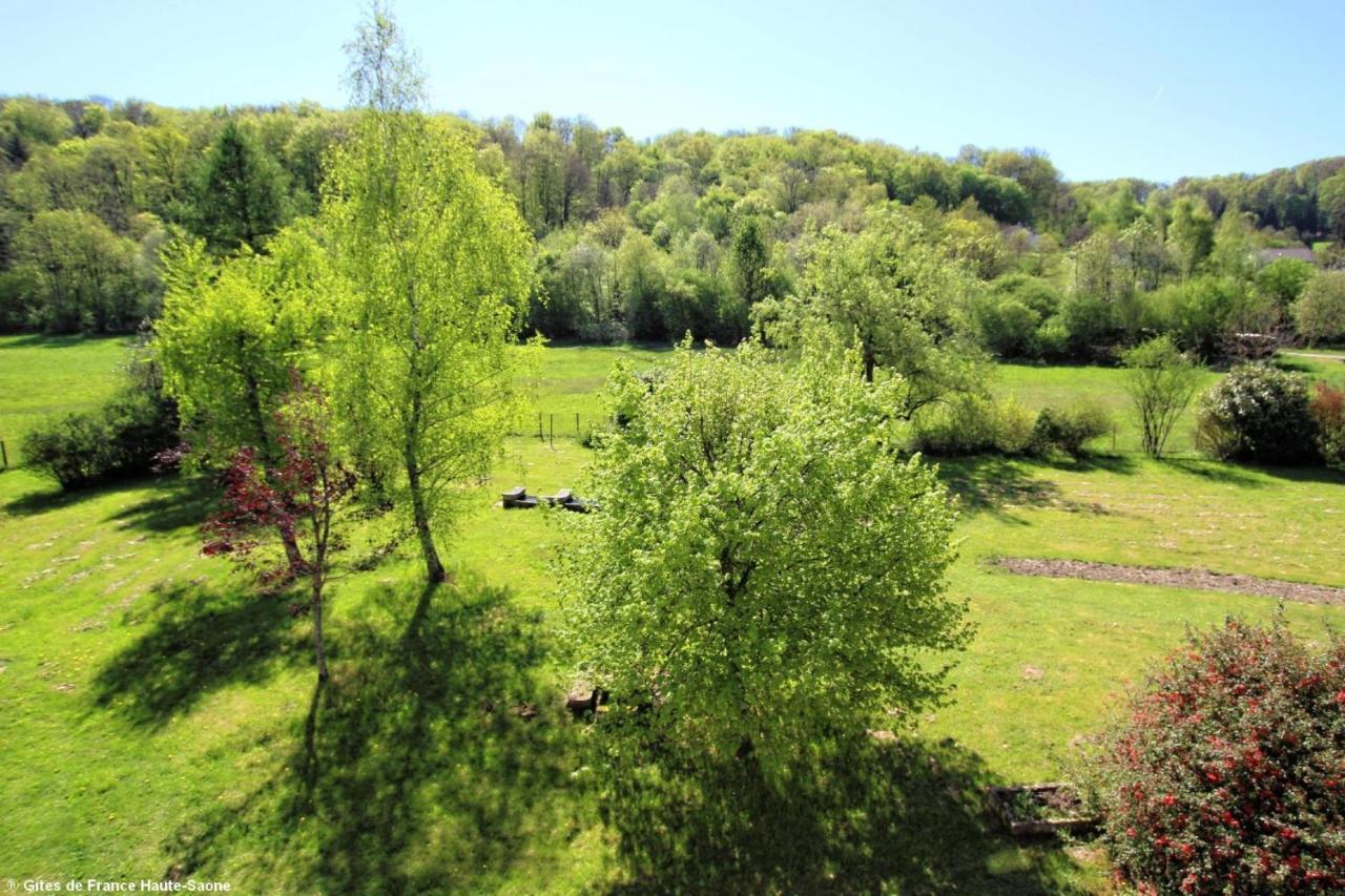 Au Fil Du Temps Bed and Breakfast Fougerolles-Saint-Valbert Eksteriør billede